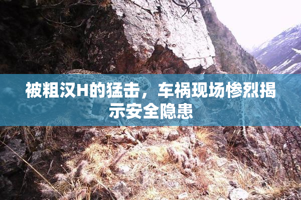 被粗汉H的猛击，车祸现场惨烈揭示安全隐患