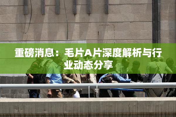 重磅消息：毛片A片深度解析与行业动态分享