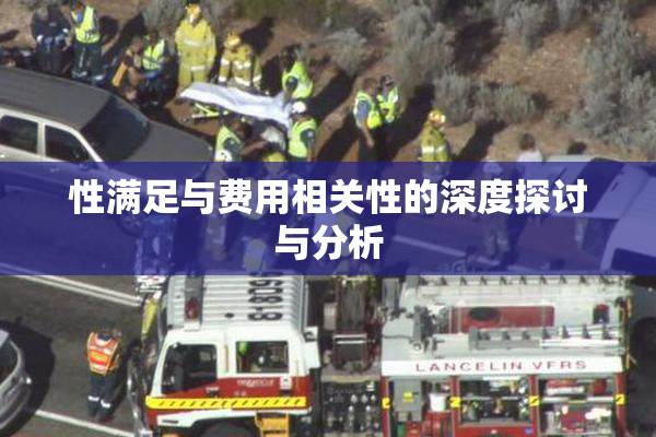 性满足与费用相关性的深度探讨与分析