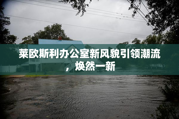 莱欧斯利办公室新风貌引领潮流，焕然一新