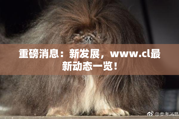 重磅消息：新发展，www.cl最新动态一览！