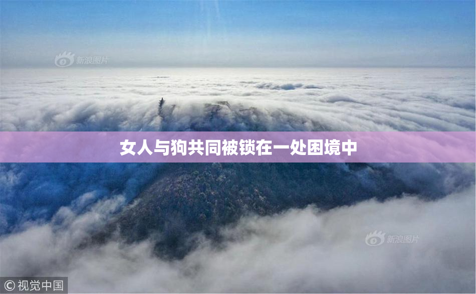 女人与狗共同被锁在一处困境中
