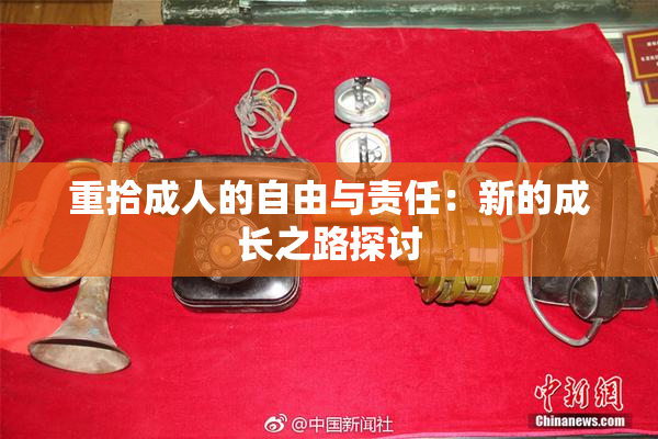 重拾成人的自由与责任：新的成长之路探讨