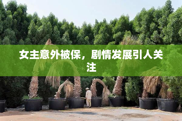女主意外被保，剧情发展引人关注