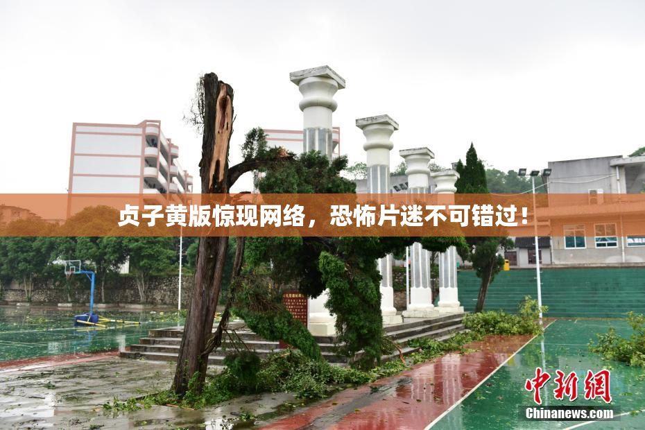 贞子黄版惊现网络，恐怖片迷不可错过！
