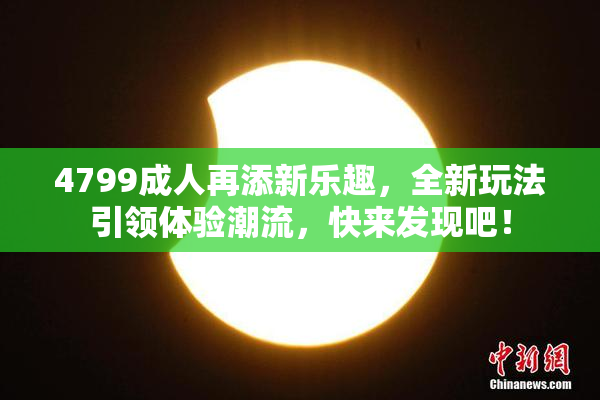 4799成人再添新乐趣，全新玩法引领体验潮流，快来发现吧！