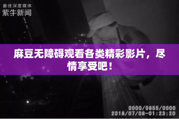 麻豆无障碍观看各类精彩影片，尽情享受吧！