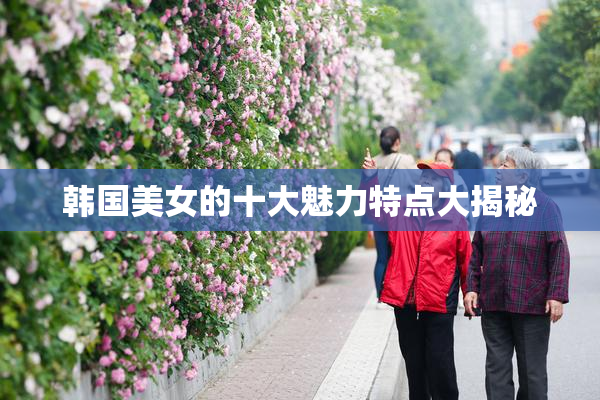 韩国美女的十大魅力特点大揭秘
