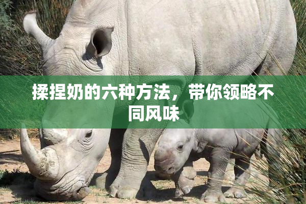 揉捏奶的六种方法，带你领略不同风味