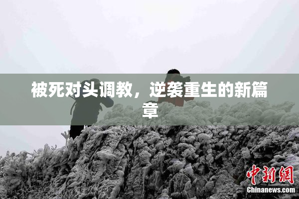 被死对头调教，逆袭重生的新篇章