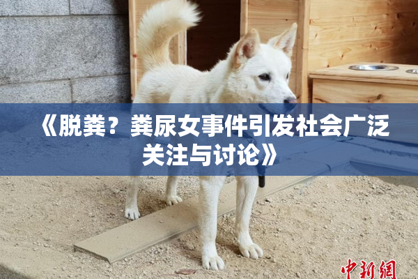 《脱粪？粪尿女事件引发社会广泛关注与讨论》