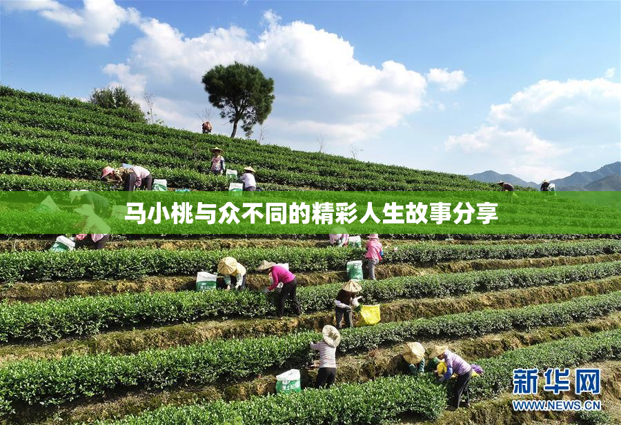 马小桃与众不同的精彩人生故事分享